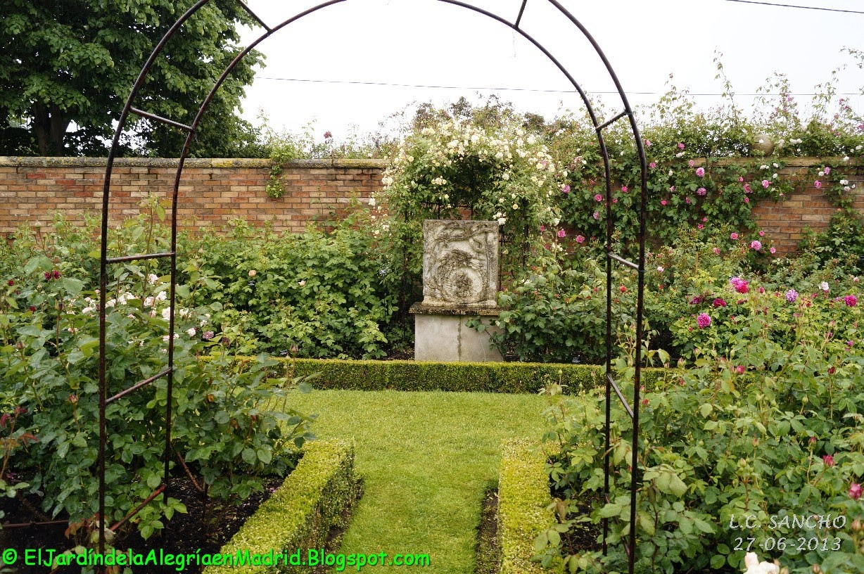 El jardín de la alegría : Rosas y rosales ingleses de David Austin