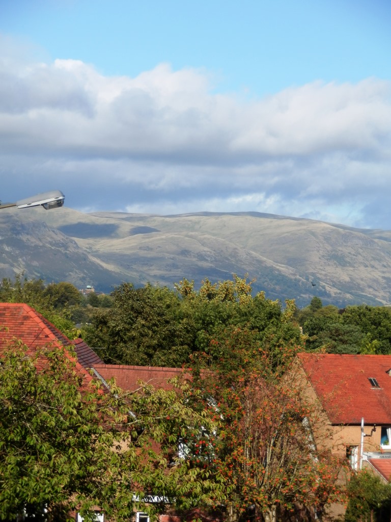 My Daily Walk Gillies Hill Woods, Cambusbarron