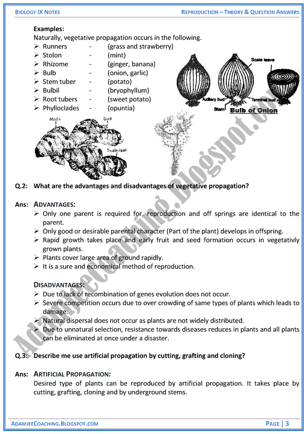 reproduction-theory-notes-and-question-answers-biology-notes-for-class-9th