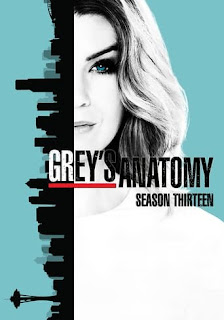 Anatomia de Grey Temporada 13 audio Español Anatomia de Grey Temporada 13 audio Español