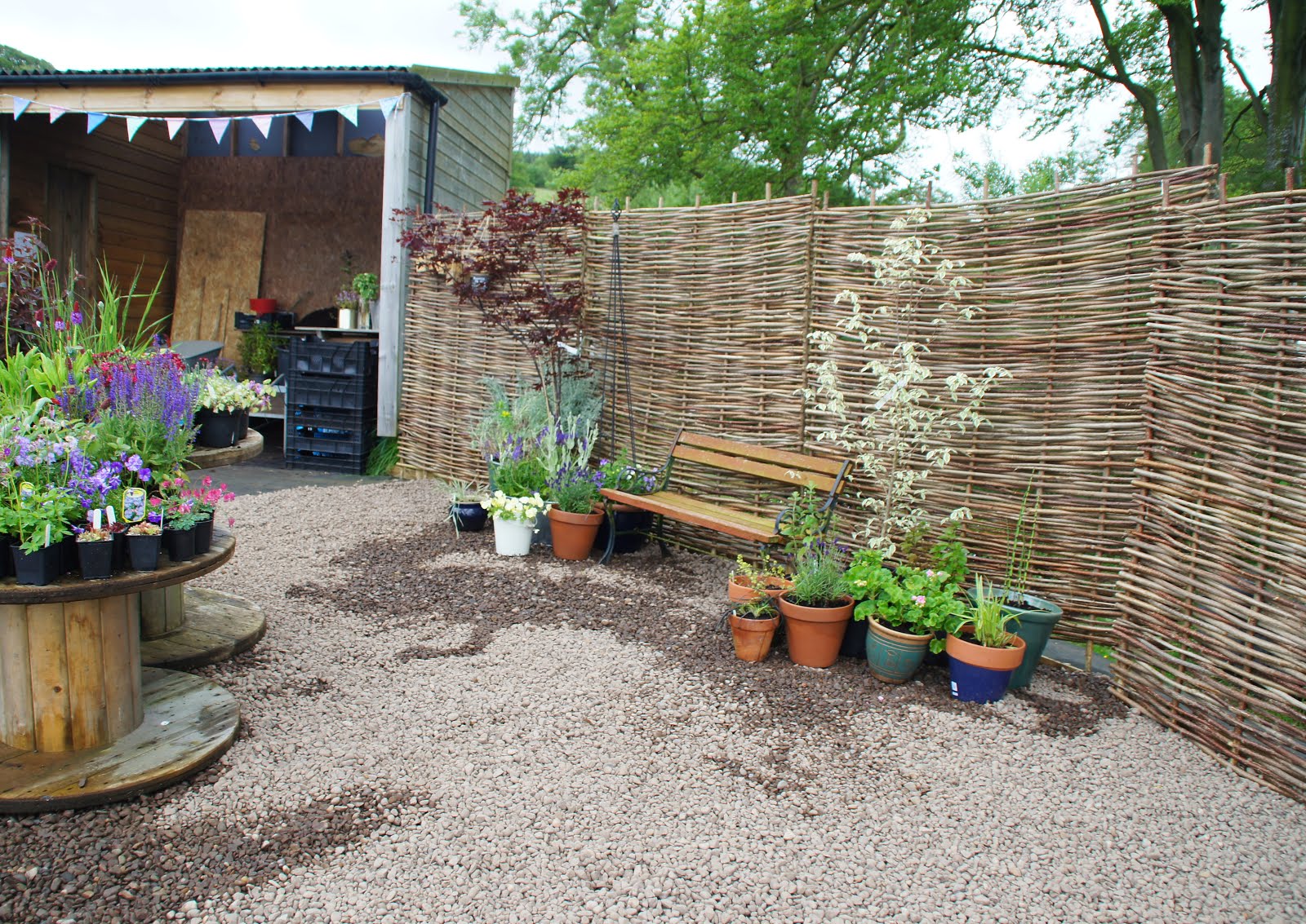 Quercus Garden Plants