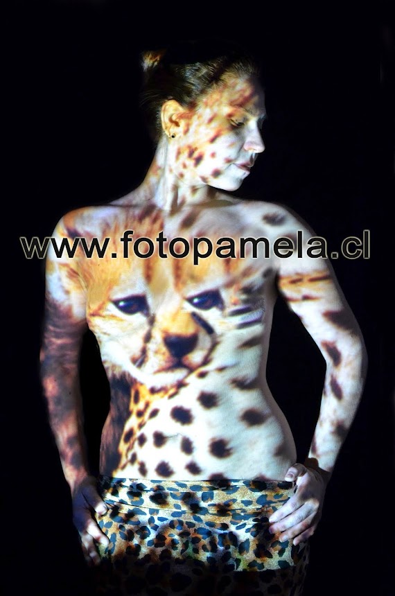 ANIMAL PRINTA CUERPOS PINTADOS FOTOGRAFIAS CHILE