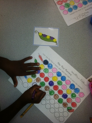 Sweet Kindergarten: How Does Your (Kinder) Garden Grow?