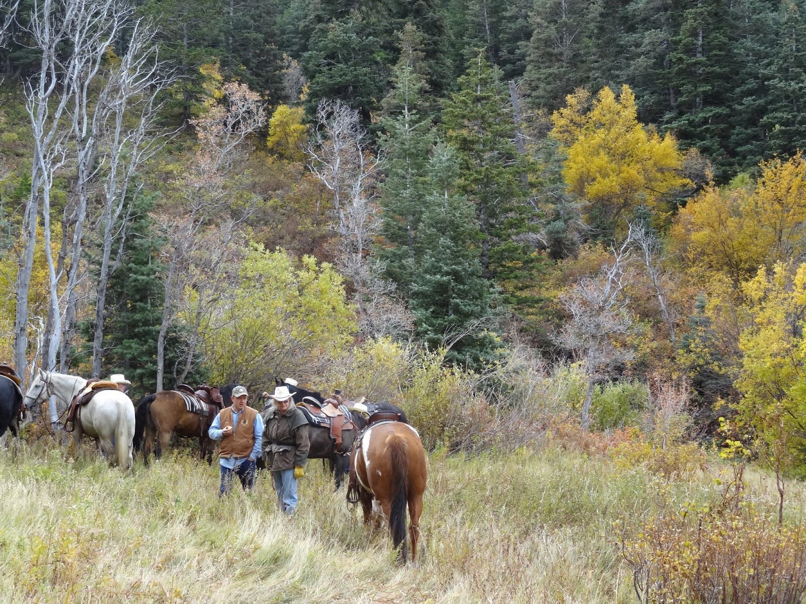 Dream Packer Trail Adventures Holbrook Canyon, Bountiful, Utah