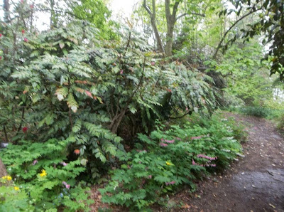 A Next Generation Gardener Tonight I Need Your Sweet Caress