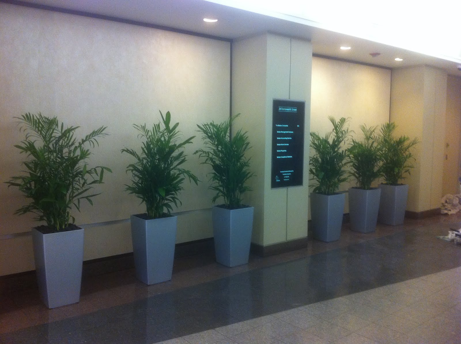 PDI Plants Blog Repetitive use of green indoor plant design in Boston's buildings.