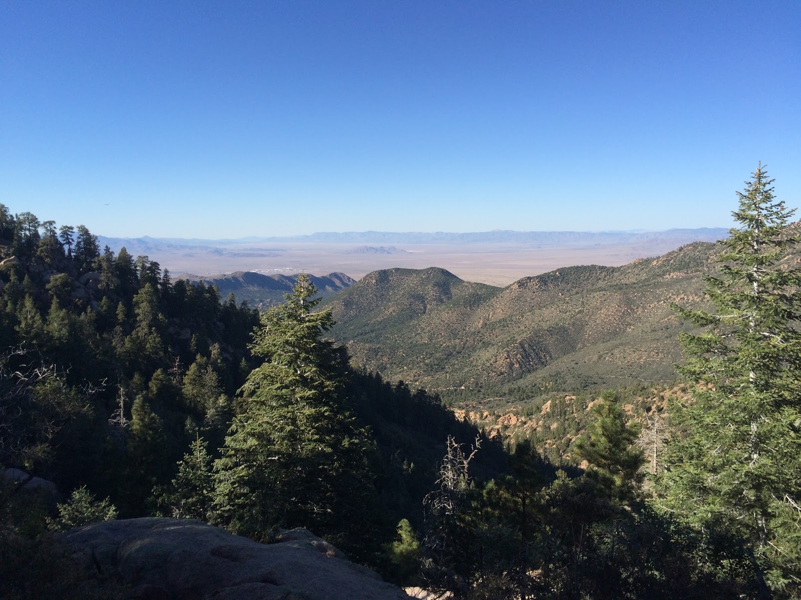 Ravine Ravings Hiking the Hualapai Mountains