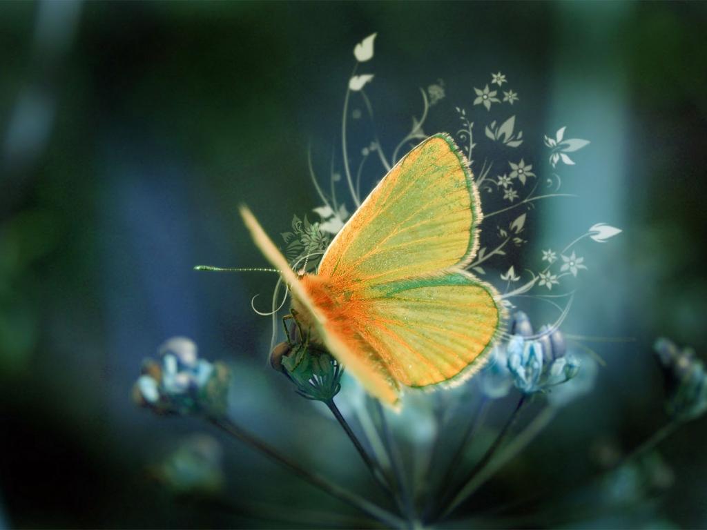 http://2.bp.blogspot.com/-H9rr_2St3RI/TyP3-kCEj4I/AAAAAAAAADs/wU6VUM38-7E/s1600/Cool%20desktop%20backgrounds%20wallpapers.jpg