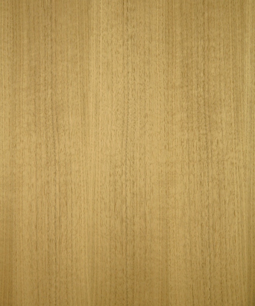 Dark Brown Color