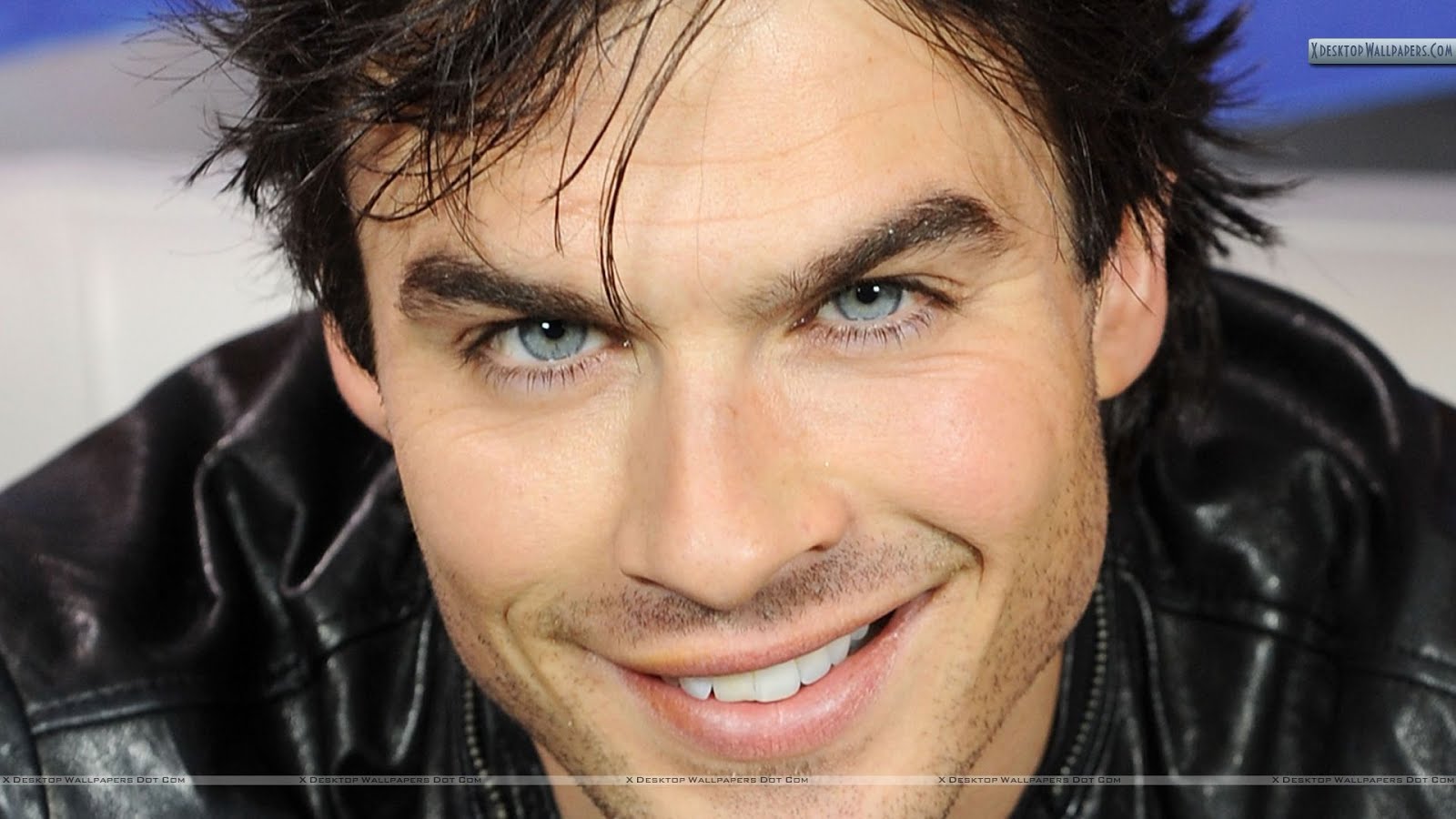 Tv Series Ian Somerhalder Damon Salvatore