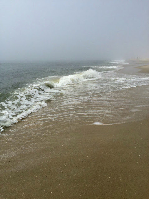 Поездки по восточному побережью с детьми. Подробные отчеты Поездки по восточному побережью с детьми. Подробные отчеты