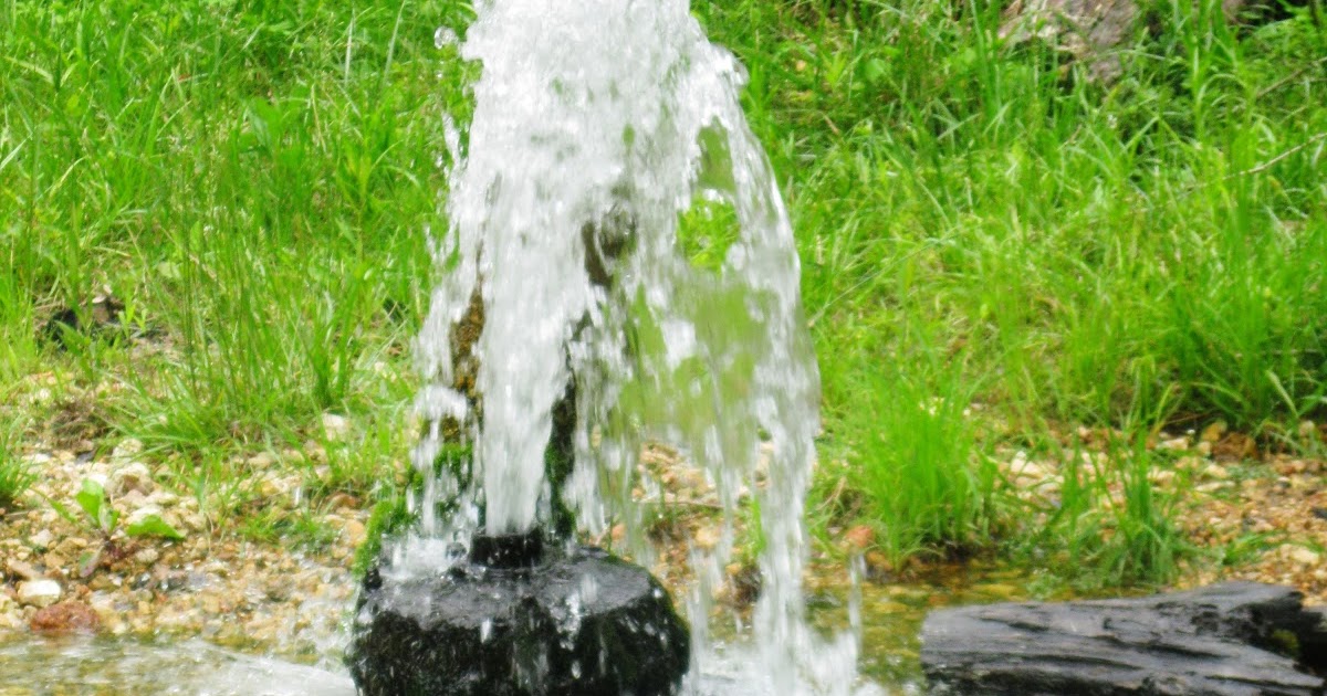 The Missouri Mom Photos of Sycamore Valley Artesian near Marquand, MO