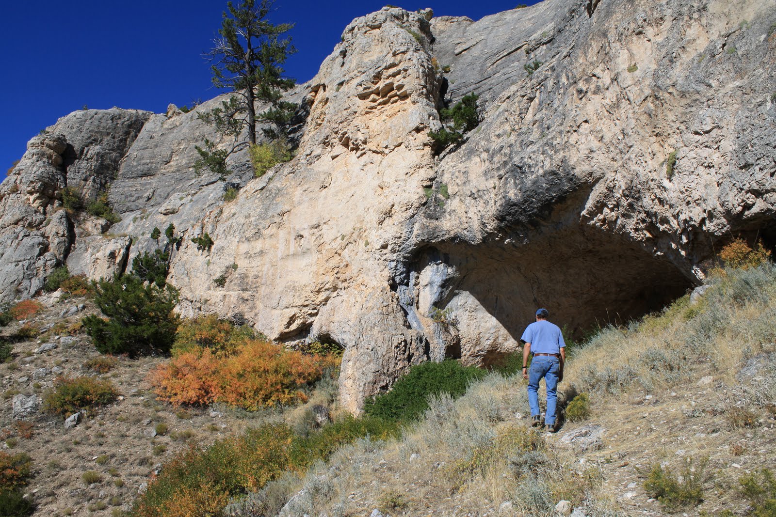 Living and Dyeing Under the Big Sky Pryor Mountain Cave