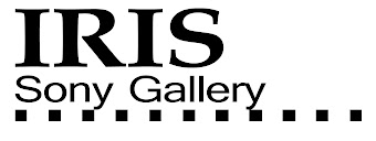 Iris Sony Gallery Getxo