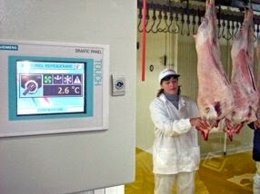 Halal  lamb meat