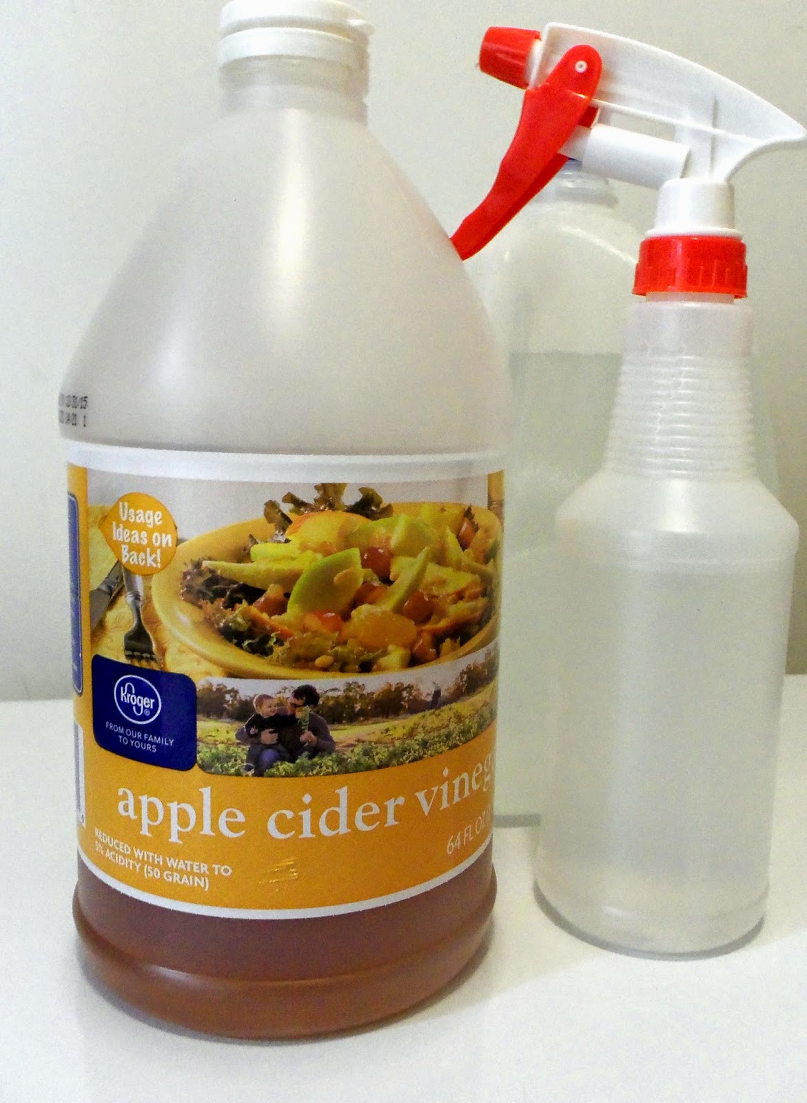 Stephlin�s Mountain My Tomatoes Have a Fungus!