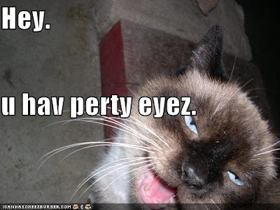 funny-pictures-creepy-lolcat-hits-on-you.jpg