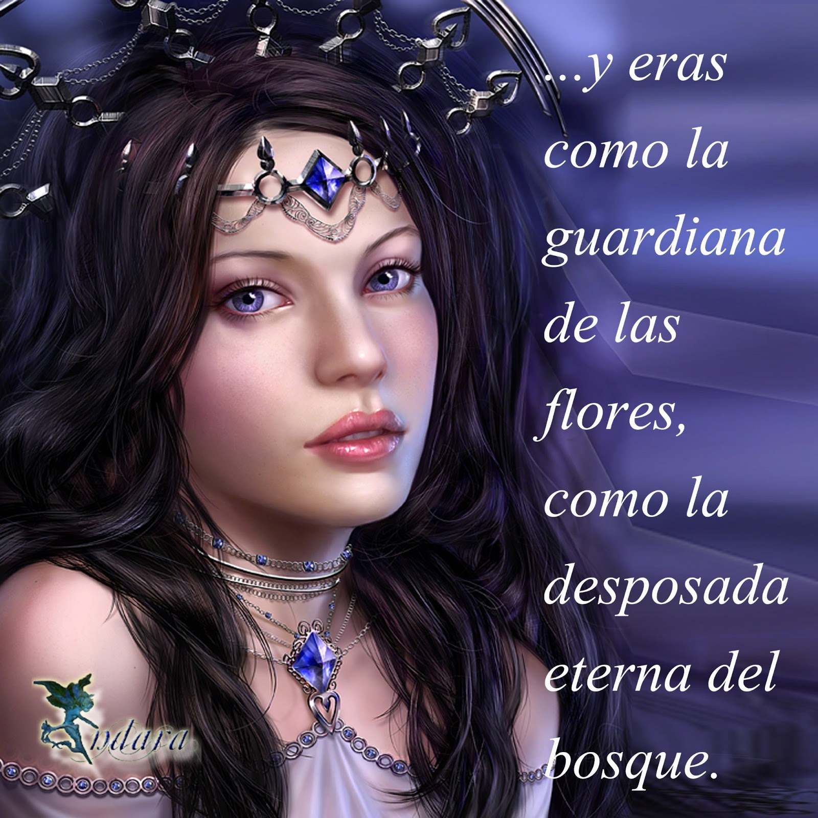 el bosque de indara indara el bosque de indara indara