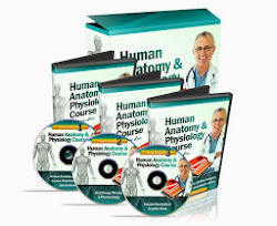 The Ultimate Home Study Course On Human Anatomy & Physiology
