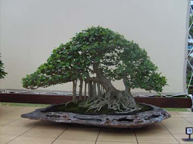 ARTE Y JARDINERÍA : Rocas y paisajes en la cultura Japonesa