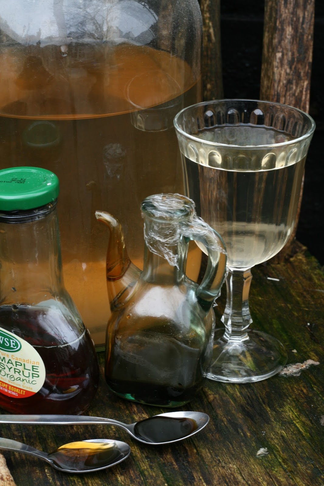 fergus the forager Tapping Birch Collecting birch sap for mineral