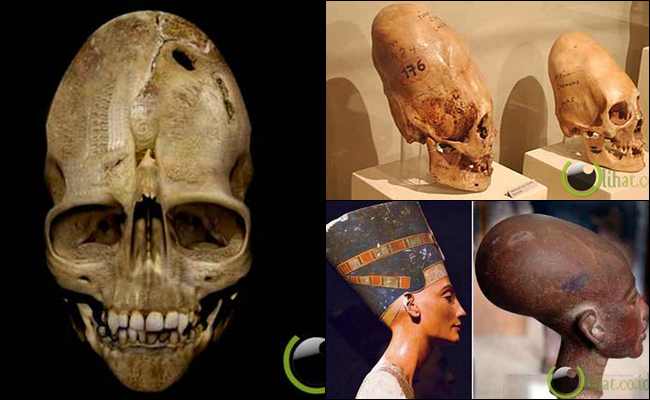 10 Misteri Tengkorak Aneh yang pernah Ditemukan di Dunia 10 Misteri Tengkorak Aneh yang pernah Ditemukan di Dunia