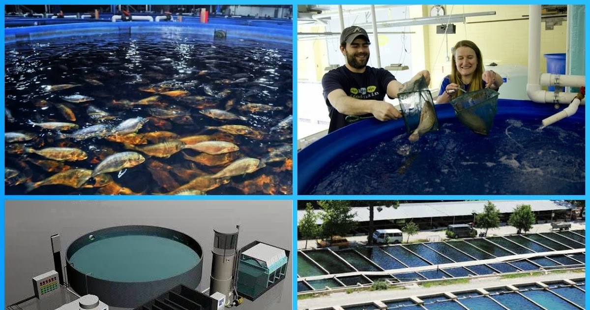 fish farming and fishery business management Aquaculture is defined by the fisheries management act as cultivating fish or marine vegetation for the purposes of sale, trade or barter aquaculture is also. fish farming and fishery business management Aquaculture is defined by the fisheries management act as cultivating fish or marine vegetation for the purposes of sale, trade or barter aquaculture is also.