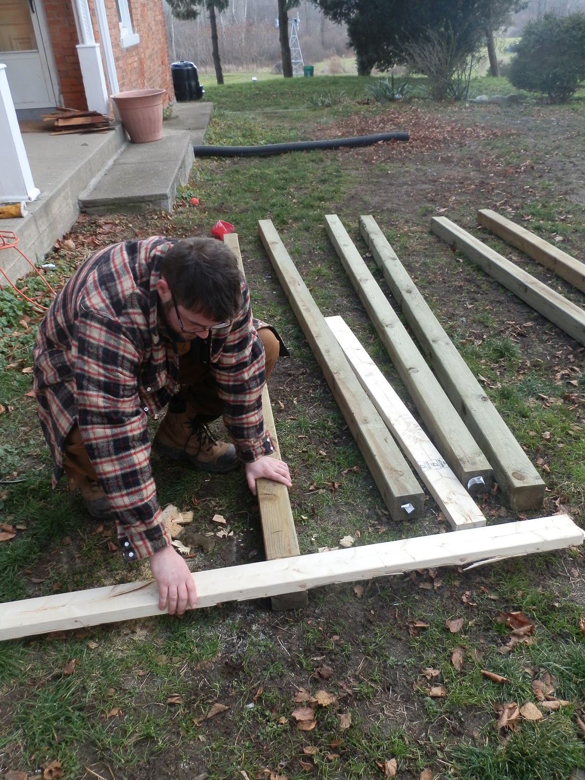 Ridge Berry Farm Arctic Kiwi Trellises