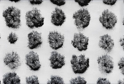 slide 293173 2361857 free