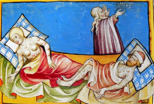 [Image: third_image.jpg]