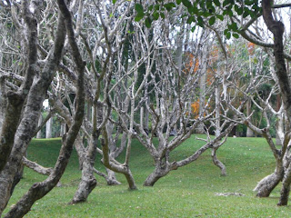 Jardin botanique Kandy