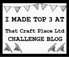 That Craft Place Top 3 - 22nd Feb 2015