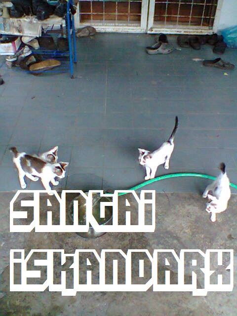 iskandarx.blogspot.com,santai,Santai iskandarX,Faizal and the gang tengah rehat