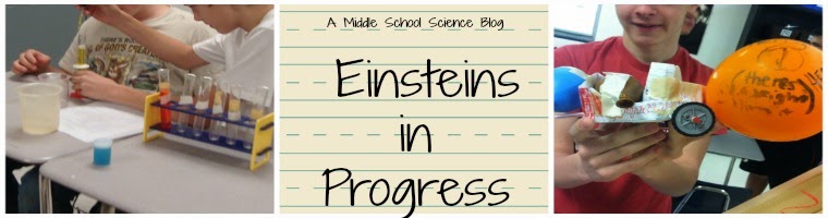 Einsteins In Progress