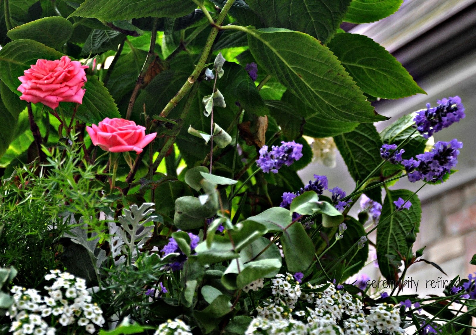 The Petalsweet Blog Hydrangea Tutorial Part One By Petalsweet Cakes