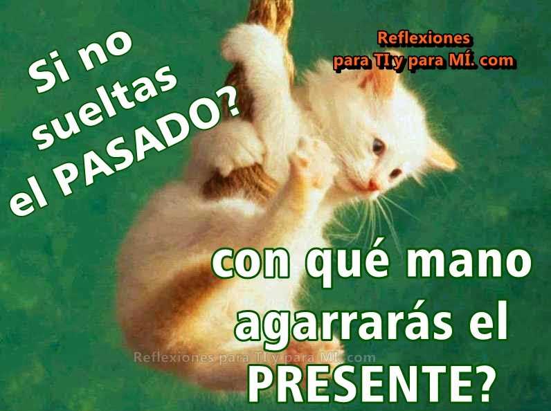 Resultado de imagen de reflexiones para ti y para mi imagenes