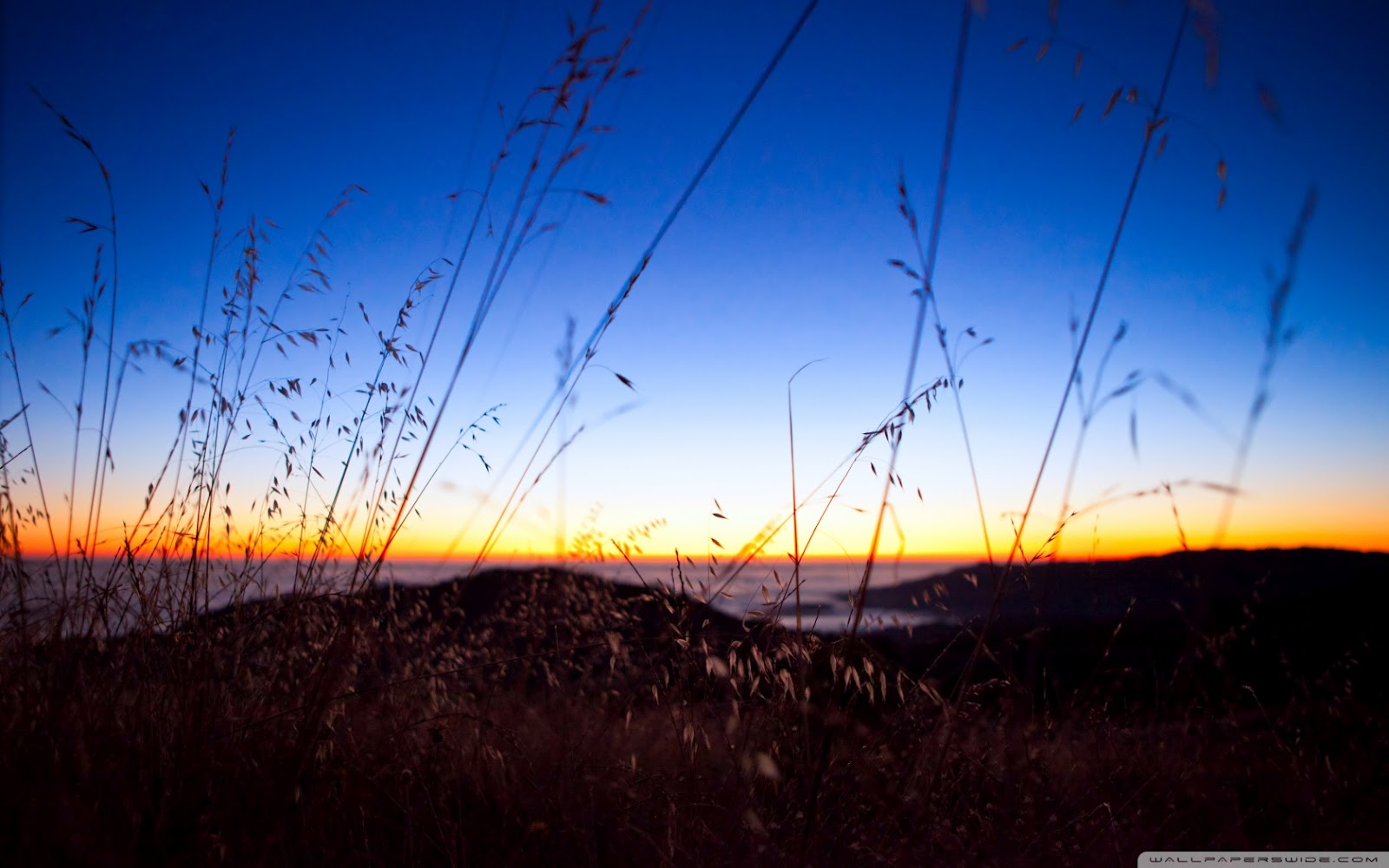 http://2.bp.blogspot.com/-HDS4tnvFqOE/T3oHa3YOmgI/AAAAAAAAE7I/EVTWLIIW30U/s1600/bokeh_sunset-wallpaper-1680x1050.jpg