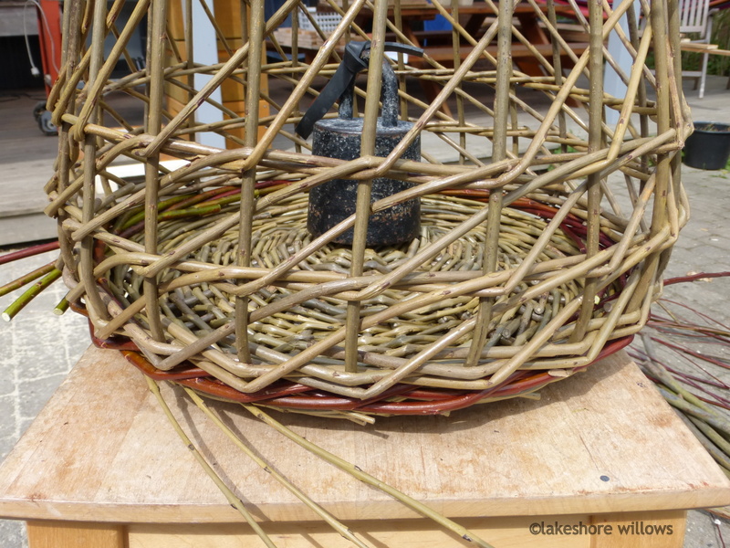Willows Willow Basket Weaving and Opportunity