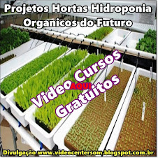 Projetos Hortas organicos do futuro