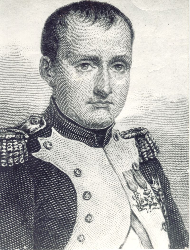 napolean bonaparte essay napolean bonaparte essay