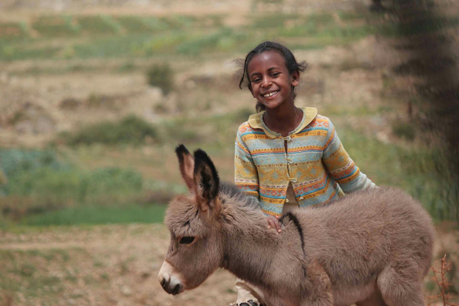4,634 Euros Raised for the Donkey Project in Eritrea - Madote
