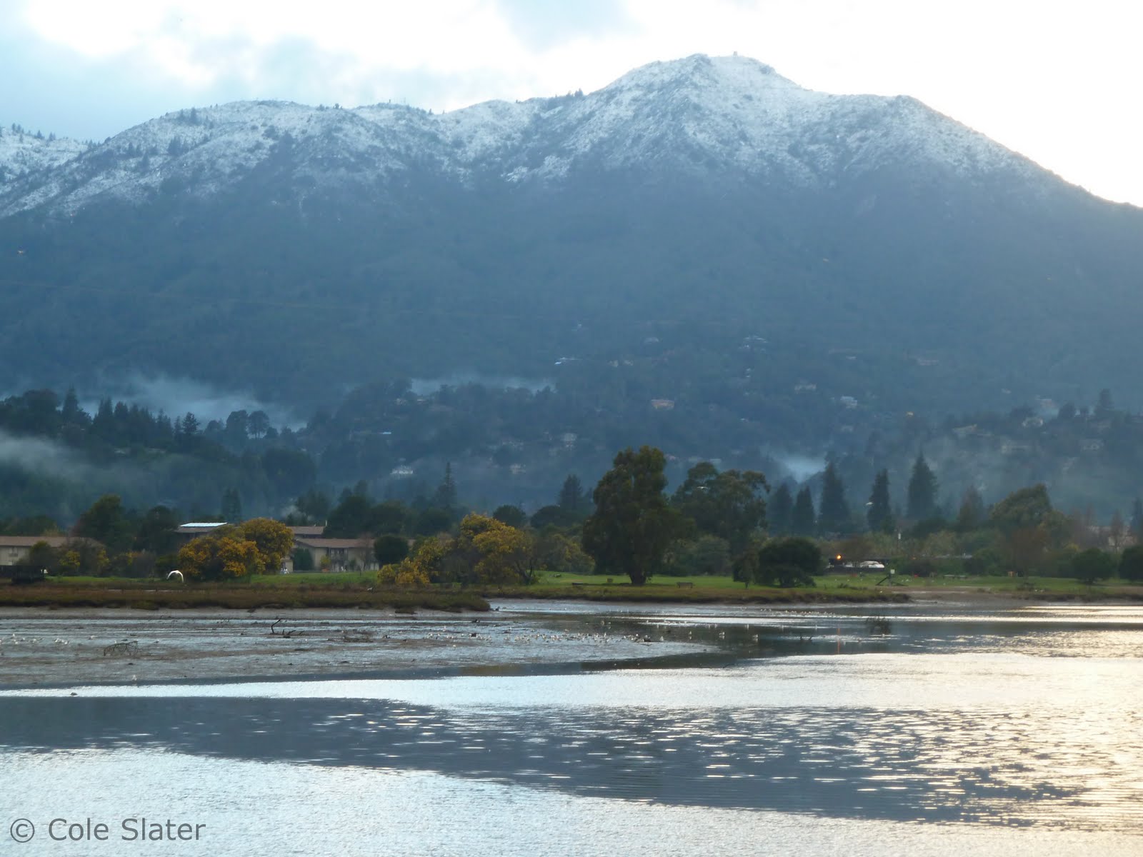 Cole's Trail Tales Mt. Tamalpais Snow Capped 2/19/11