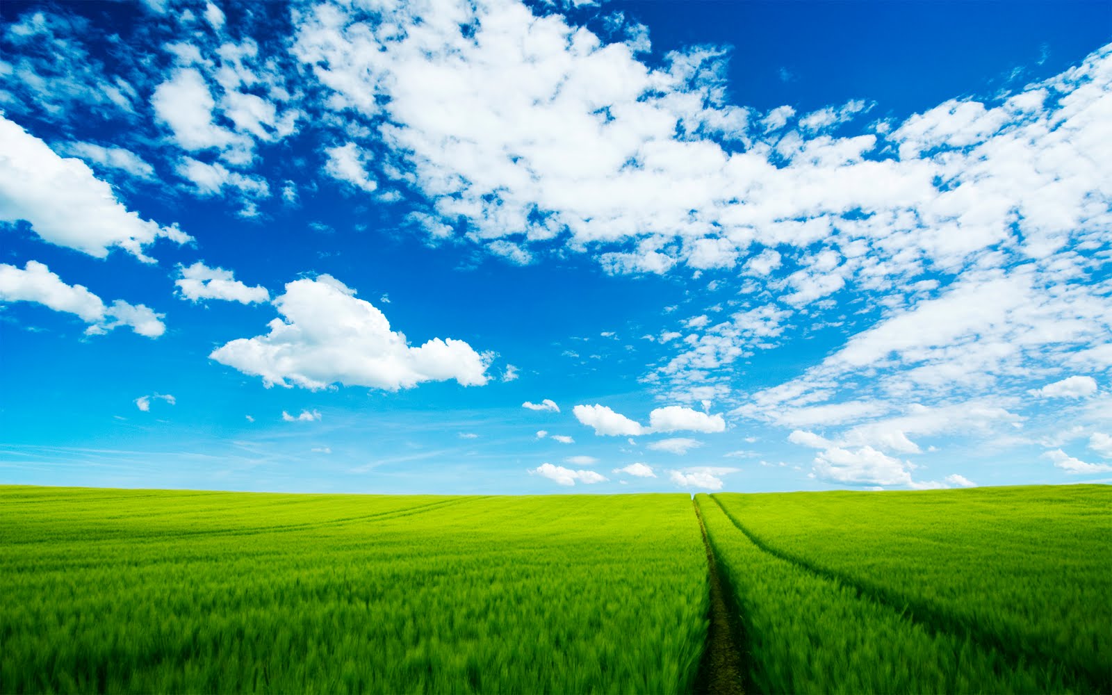 http://2.bp.blogspot.com/-HFZIxV6PFjA/TtzqSSGK-ZI/AAAAAAAABIg/MfqLXewobzY/s1600/fields-wallpaper-hd-11-745456.jpg