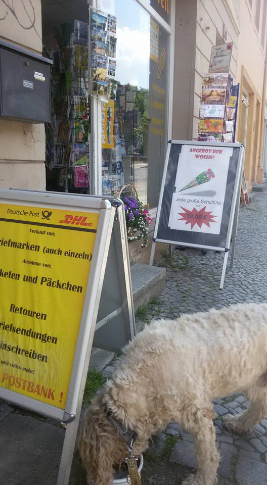 Ruppi Struppi Hund Sein In Ruppin Juni 2015