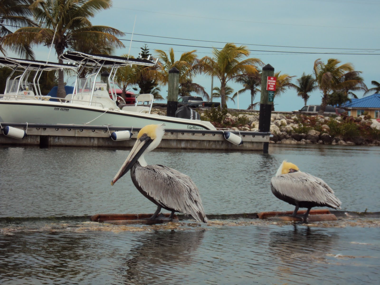 HarleysList Sigsbee Navy Lodge Key West FL.