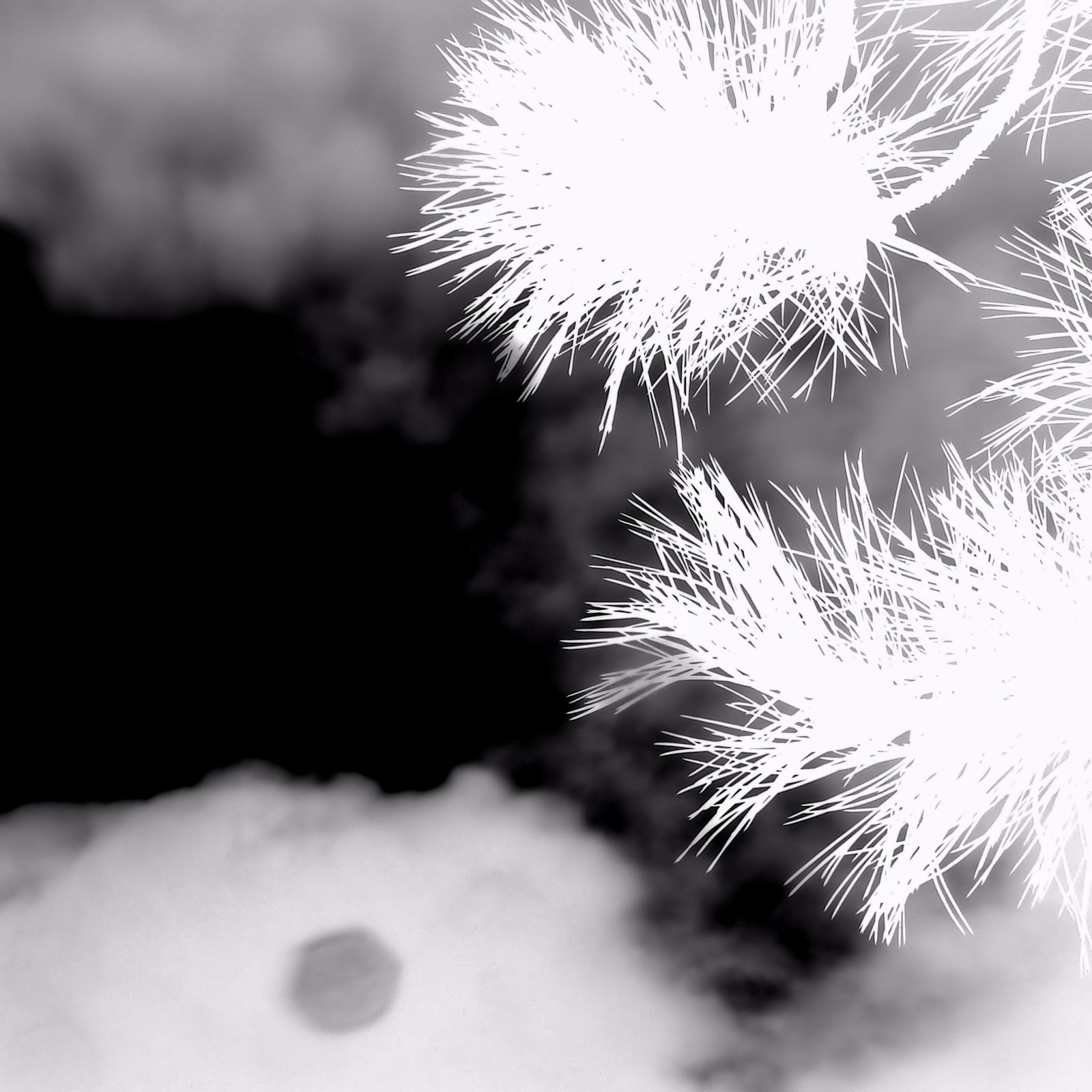 Nunc Hic Page 42 Chan 8720313 Rssing Com