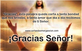¨Gracias Señor¨, por tanto amor que recibimos día a día. Cartas para Dios