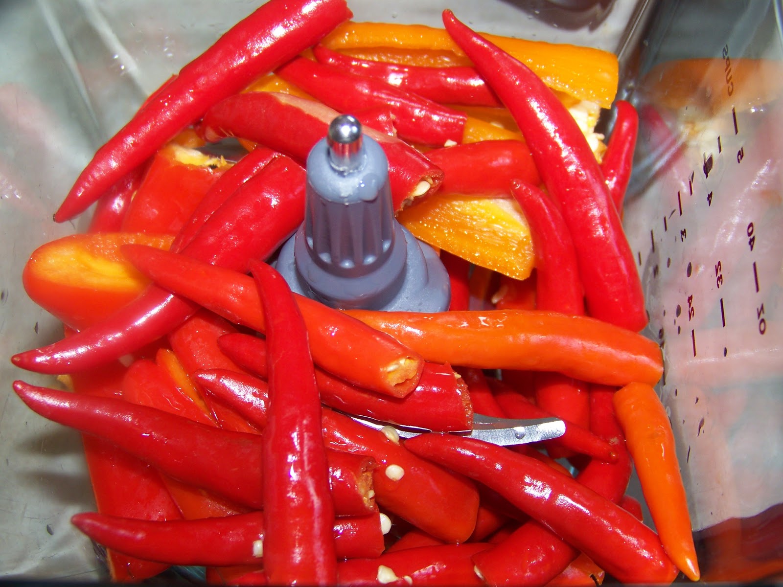 Kitchen Simmer Thai Garlic Chili Sauce