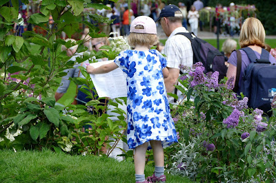 Hagtorpet Midsommartradgard