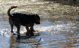Rambo in the water. Again. Rambo in the water. Again.